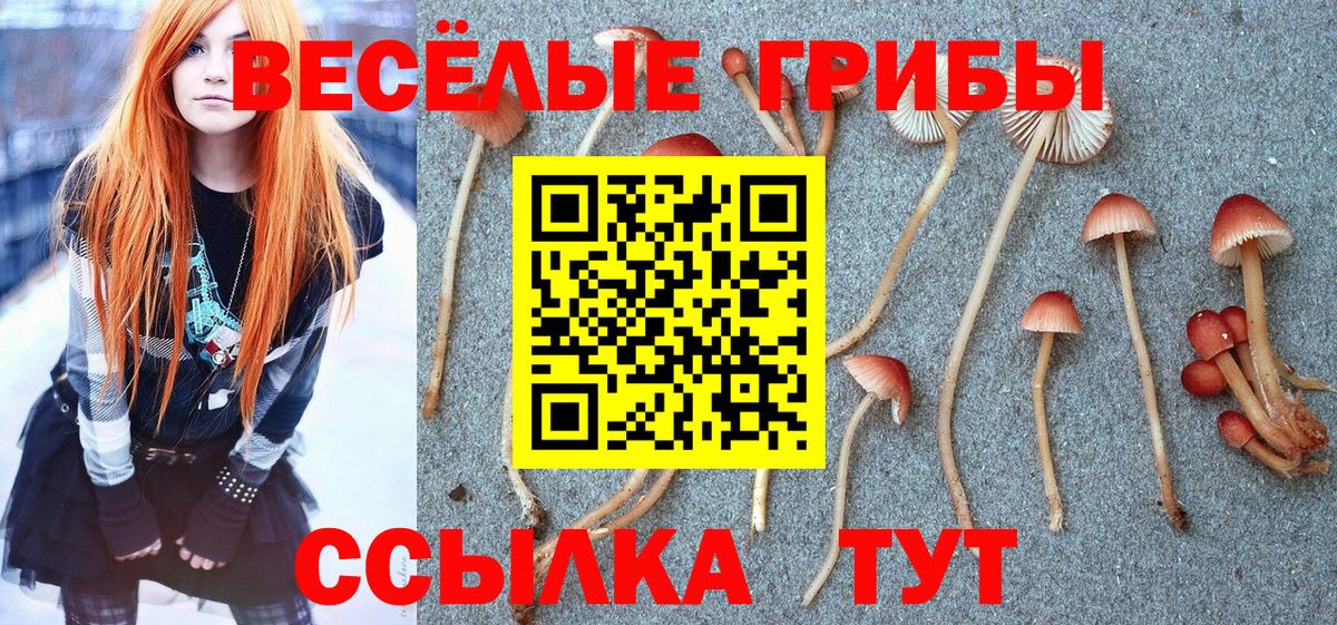 Галлюциногенные грибы Cubensis Азнакаево