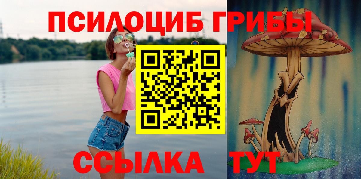 Галлюциногенные грибы GOLDEN TEACHER  Галлюциногенные грибы прущие грибы  Азнакаево  Вход с VPN 